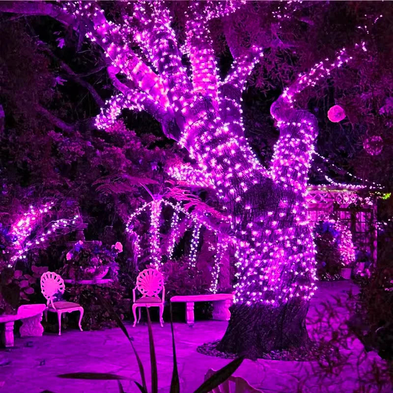 A large tree wrapped in bright pink and purple string lights at night, with matching lights draped over surrounding garden furniture and foliage.