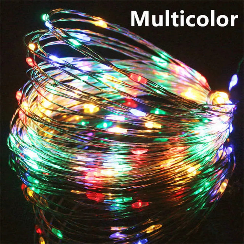 Multicolored string lights coiled on a black background with 'Multicolor' text above.