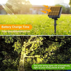 Solar light on grass with battery charge time text, followed by illuminated tree with string lights.

