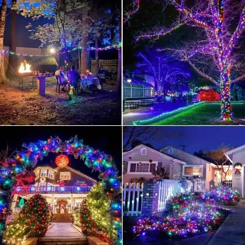 Collage of Christmas lights on trees, houses, and outdoor areas.