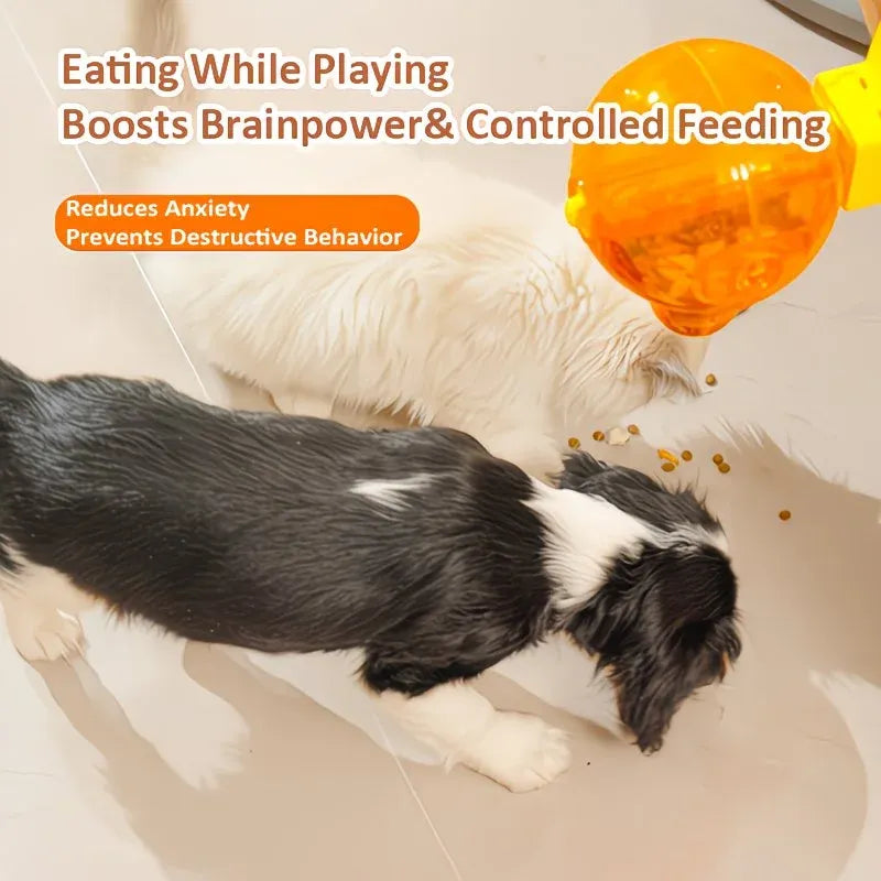 A small black-and-white dog and a white dog are shown eating from a bright orange ball-shaped pet toy on a light beige floor, with overlaid marketing text about boosting brainpower and controlled feeding.