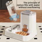 Pet feeder with water dispenser on a checkered floor
