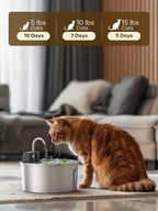 Cat drinking water from a pet fountain with weight-based water flow time indicators.