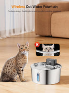 Wireless cat water fountain with a cat sitting next to it on a wooden floor.