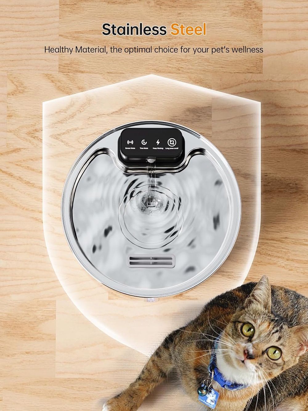 Pet water fountain with stainless steel material on a wooden surface, accompanied by a cat.