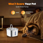 Pet water fountain with a cat resting nearby, emphasizing quiet operation and long pump life