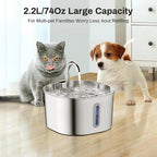 Pet water fountain with a cat and dog in a home setting