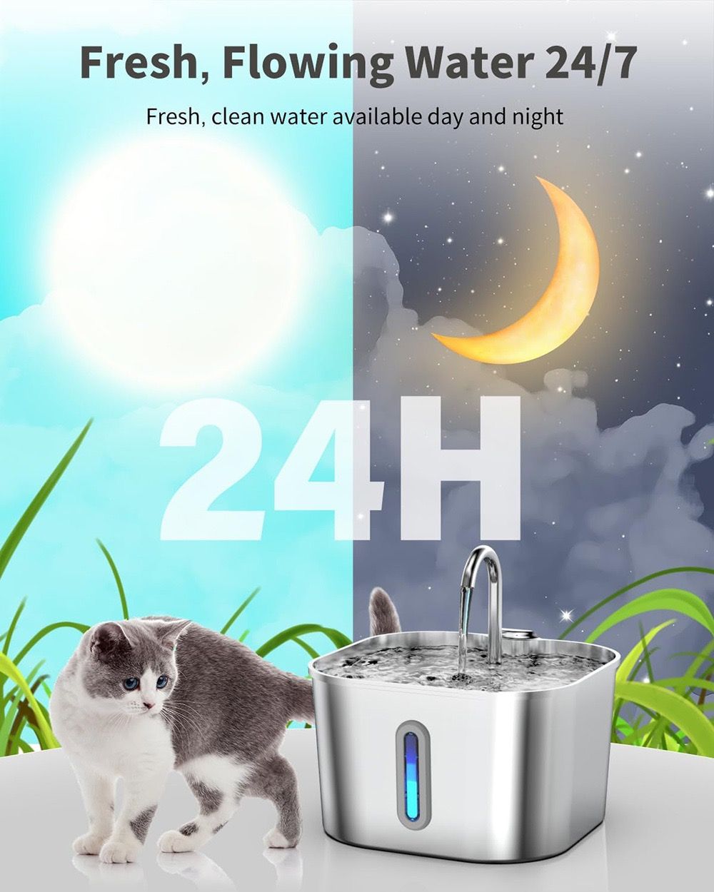 Cat next to a water fountain with 24-hour water availability text