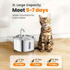Cat water fountain with a cat sitting next to it on a wooden floor.