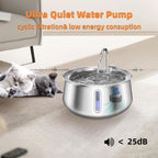 Ultra quiet water pump for pets with a cat in the background