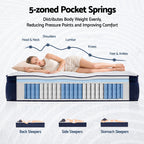 Diagram of a mattress with 5-zoned pocket springs and a person lying on it, showing how the springs distribute body weight.